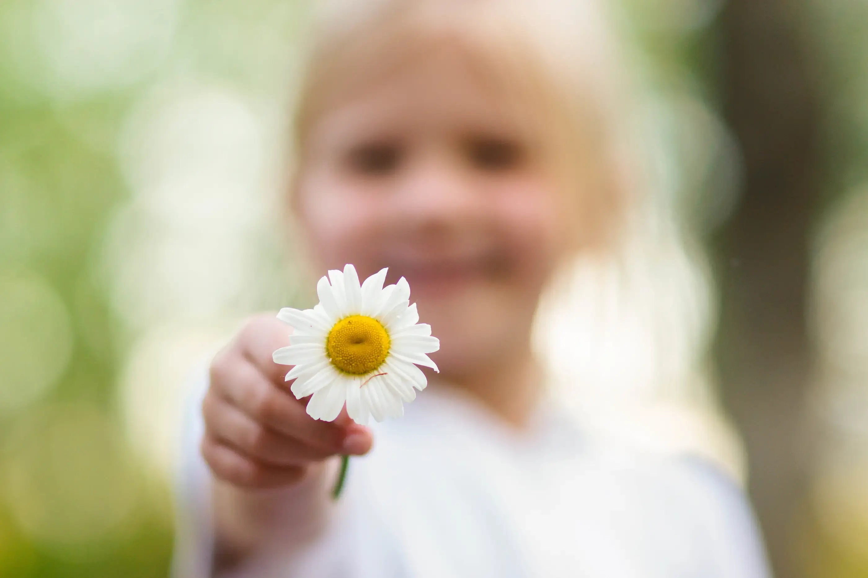 lightstock_555199_medium_abby_rieb